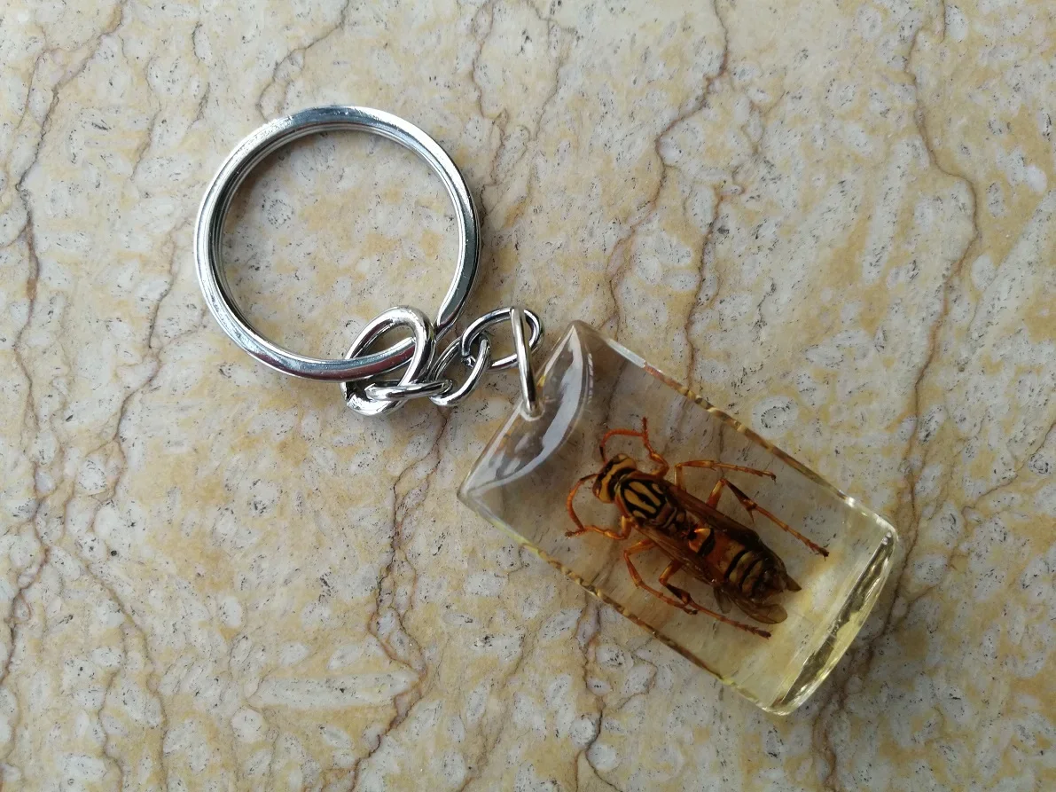 YQTDMY 10 шт. брелок для ключей в виде скорпиона насекомых