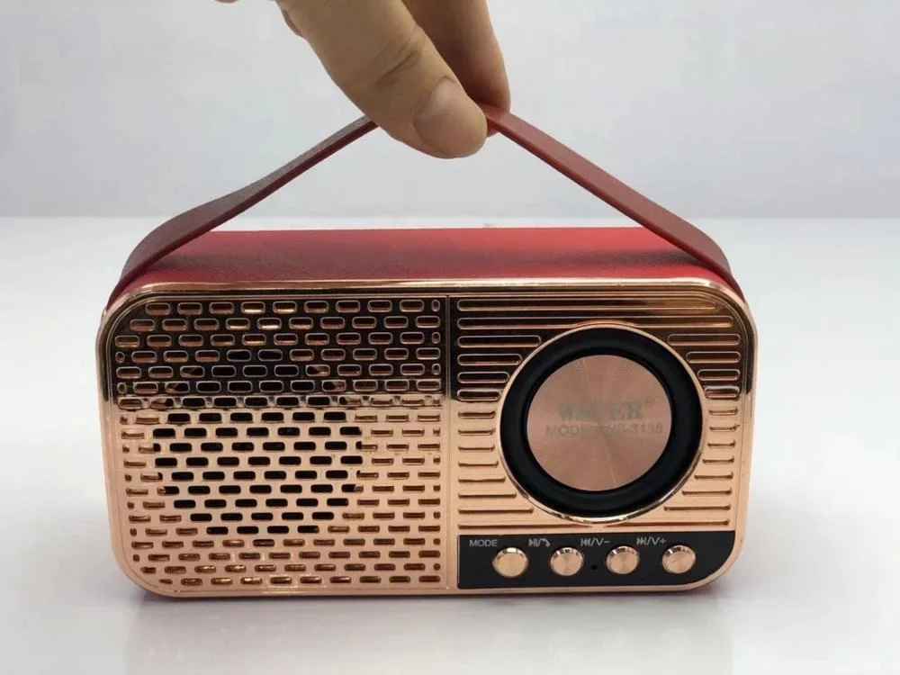 Оригинальный WSTER WS3138 с поддержкой USB TF-карты FM-радио Dab тюнер Dj-система портативный