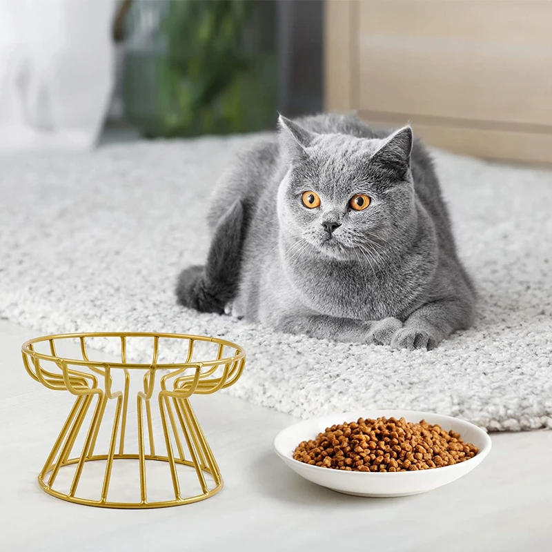 

Ceramic Dish Pet Bowl for Dog Cat Bowl Stainless Steel Elevated Bracket Cat Feeder Plate Anti-cervical Spondylosis Food Bowl