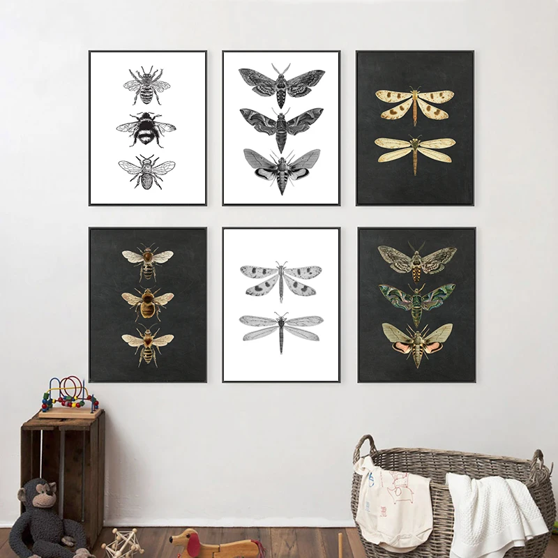 

Canvas Painting Nature Insect Prints Vintage Poster Home Wall Art Decor Animal Educational Picture Kids Room Decoration