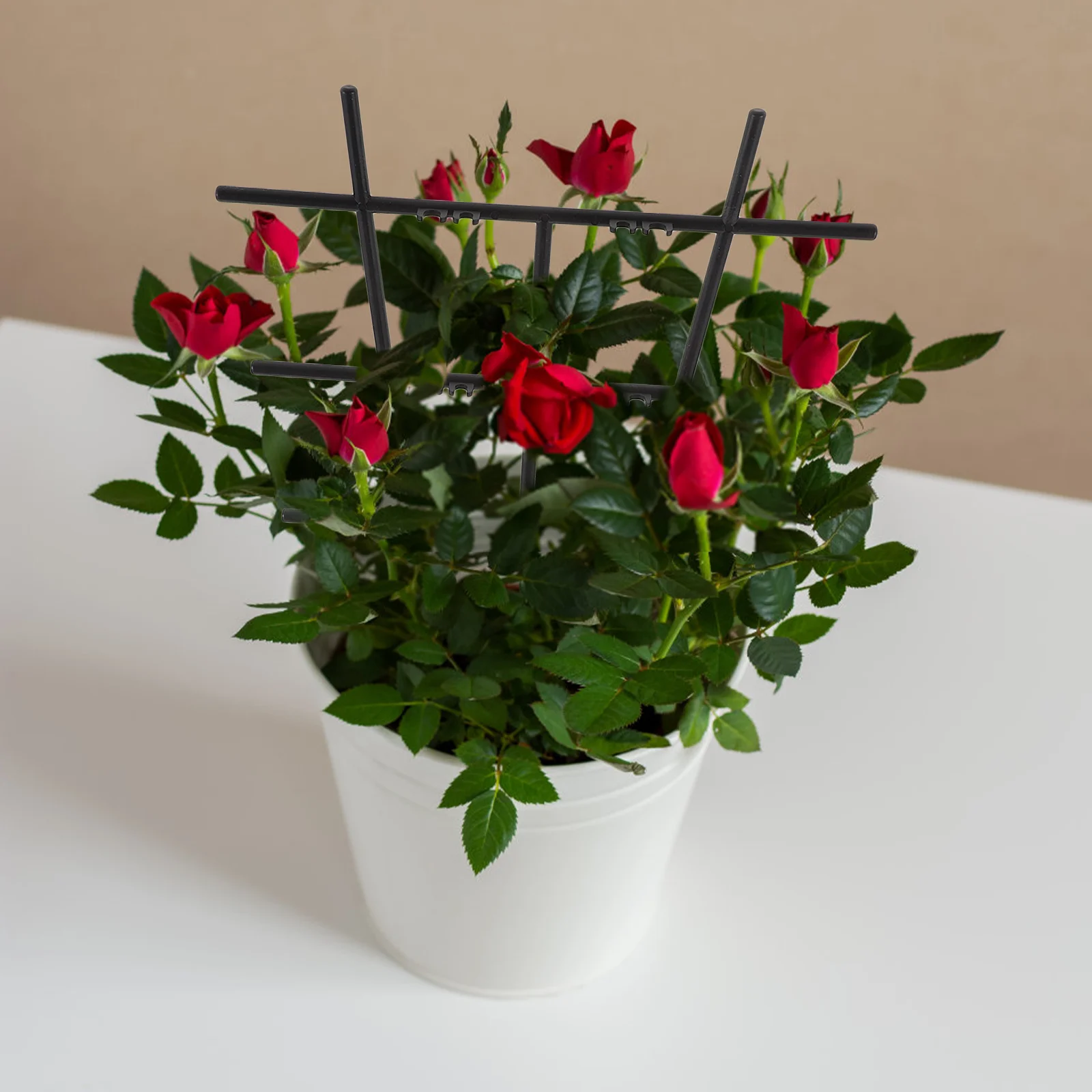 

Planter Plants Trellis Frame Indoor Decorative Green Support Plastic Climbing Supports