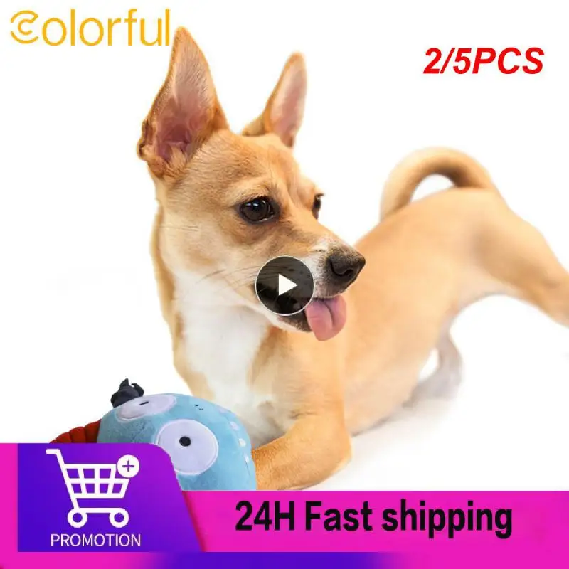 2/5 шт. Jouets с ножком для активного искусства пресс 1 pièce couineur pour chien chat jeu interactif cochon