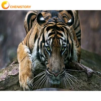 chenistory tiger diy painting by numbers on canvas animal wall picture for living room home decor coloring by number gift