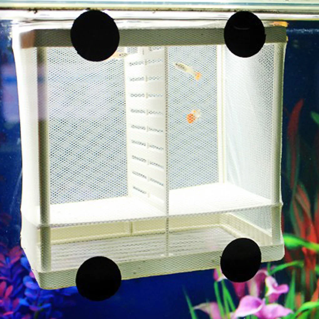 Isolation Mesh Box Suction Cup Design Fish Breeding Incubator Net Aquarium Hanging Hatchery Box