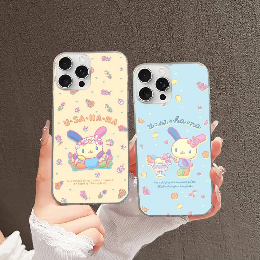 Фото Чехол для телефона Rainbow Bunny USA HaNaS для iPhone 11 12 13 14 15 16 17 Plus Pro Max, сатиновый, глянцевый, с лазерной обработкой №4