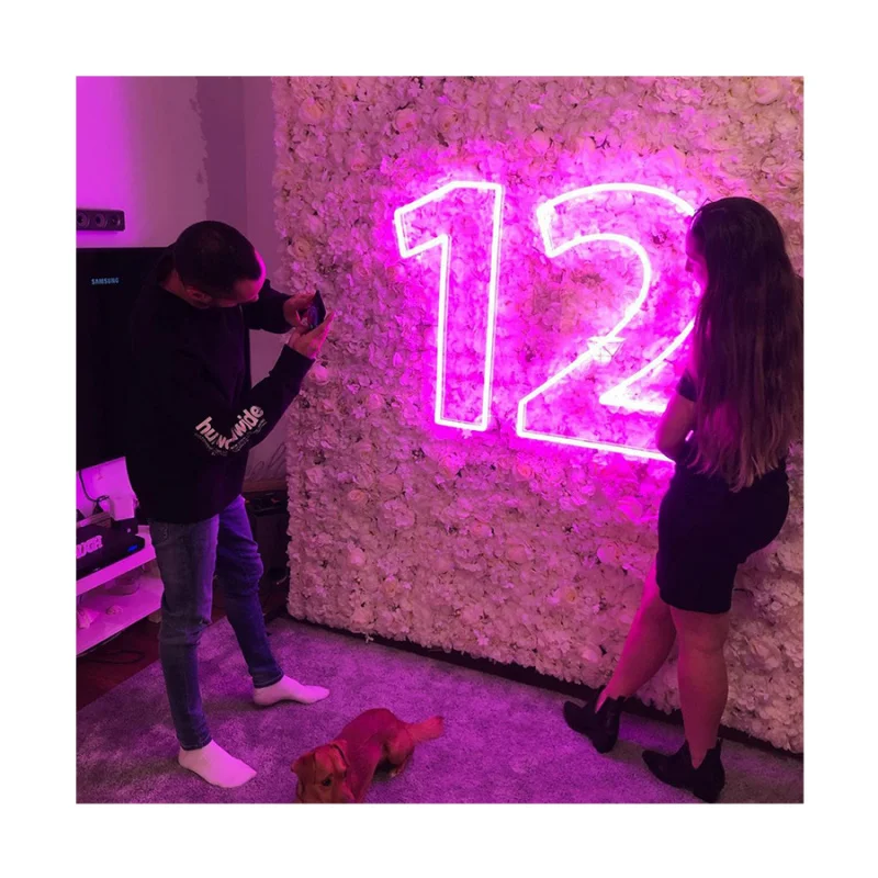 (Под заказ) winbo drop led неоновые маленькие цифры буквы стоячие Акриловые Неоновые