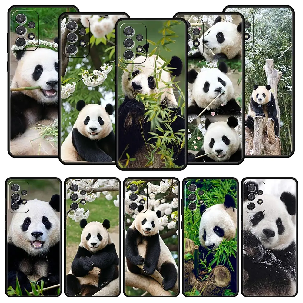 Фото Чехол для телефона Fubao panda для Samsung Galaxy A55 A53 A51 A35 A33 A31 A25 A23 A21s A15 A13 A11 A41 A73 A71 A05s A03 S8 S9 Plus Cover №1