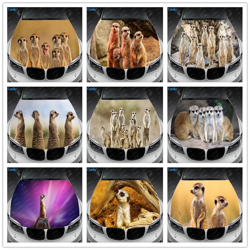 

Animal Meerkat Car Hood Vinyl Stickers Wrap Vinyl Film Engine Cover Decals Sticker Car Auto Accessories