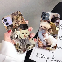crying cat memes phone case for iphone 11 12 13 mini pro max 8 7 6 6s plus x 5 se 2020 xr xs case shell