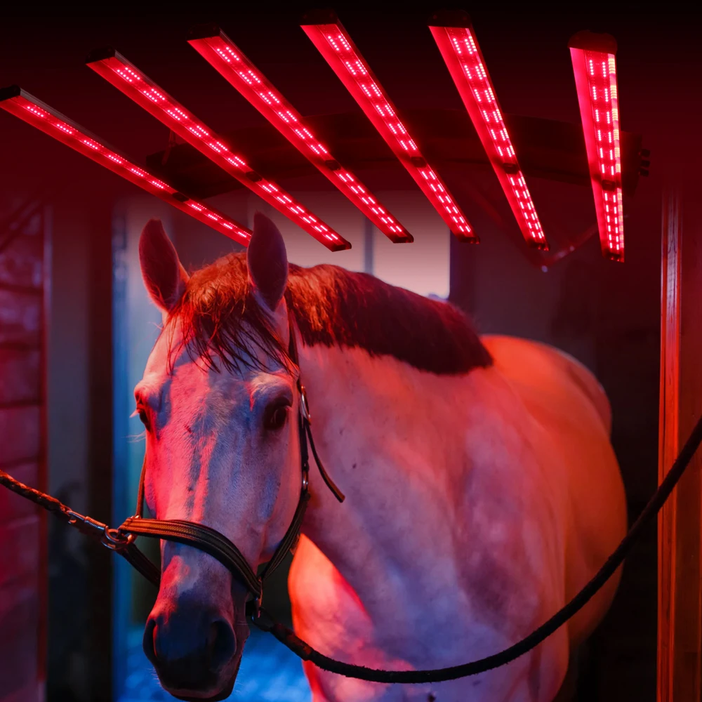Redfy Barn Use Equine Led Therapy Light Инфракрасное солярийное устройство для лечения всего тела