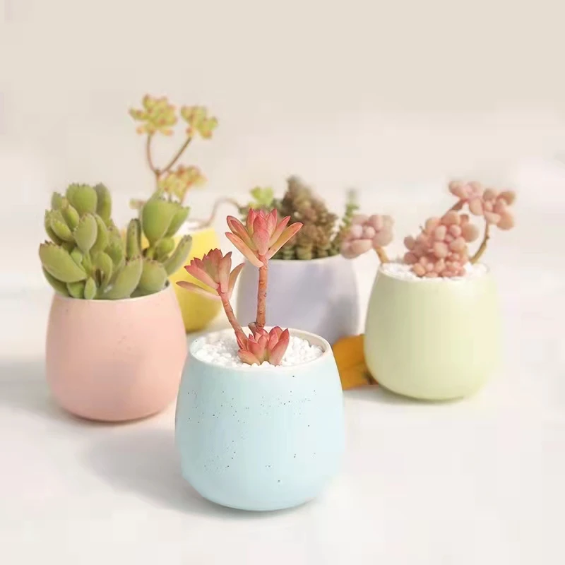 

Ceramic Succulent Flowerpot With Hole Small Home Office Desktop Decor Mini Fleshy Florets Pots For Office Decor 1Pcs Pots