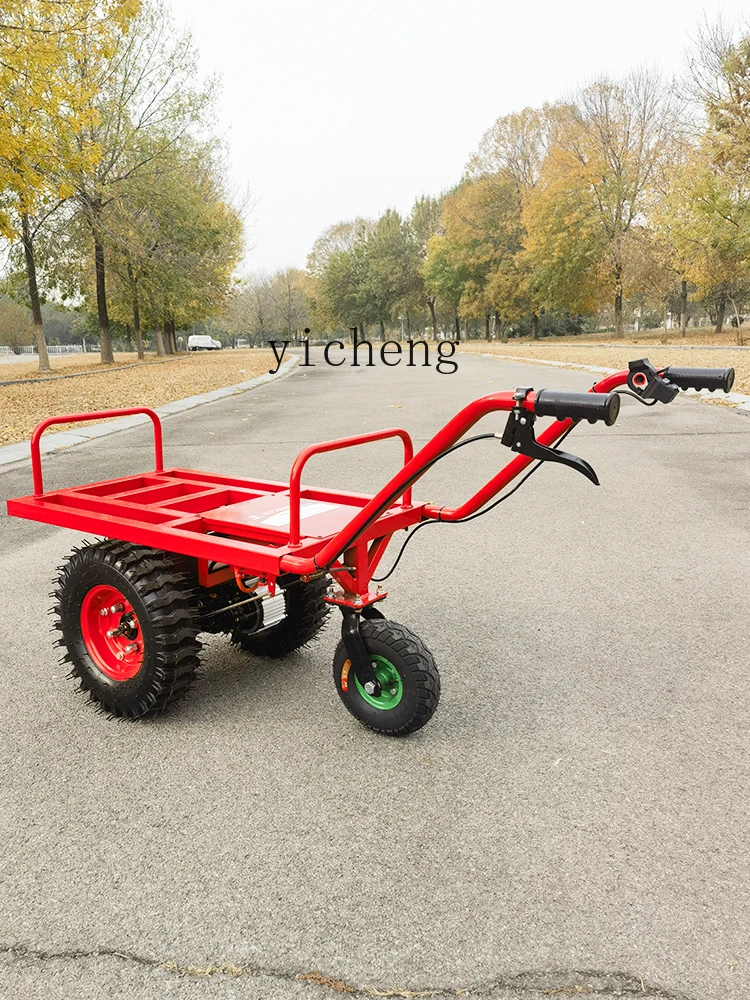 Двухколесная электрическая тележка Tqh стандартная для зарядки сада