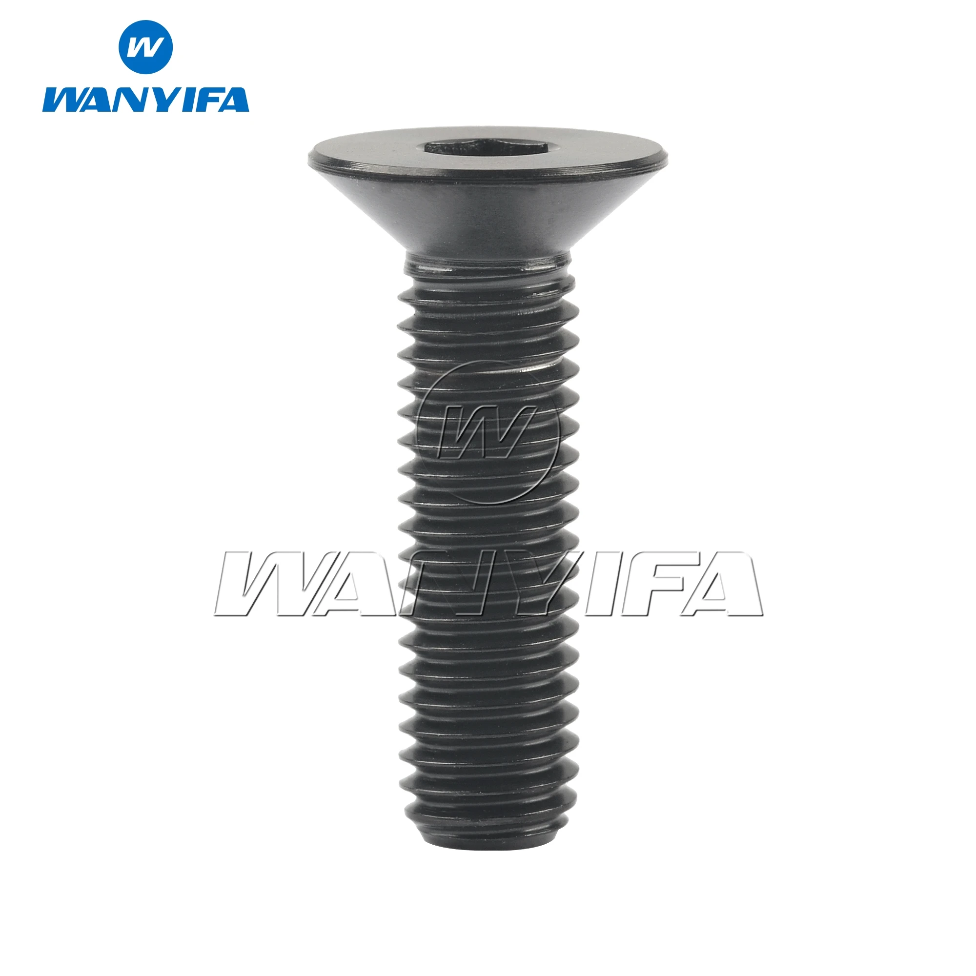 Титановые болты Wanyifa Ti M8x15