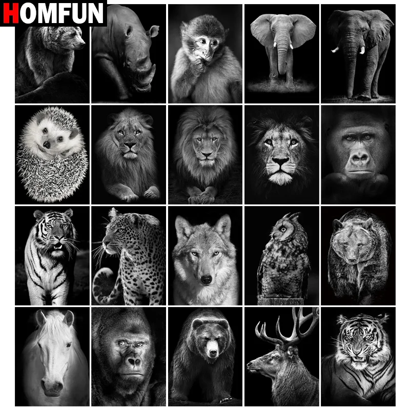 HOMFUN Full diamond Painting 