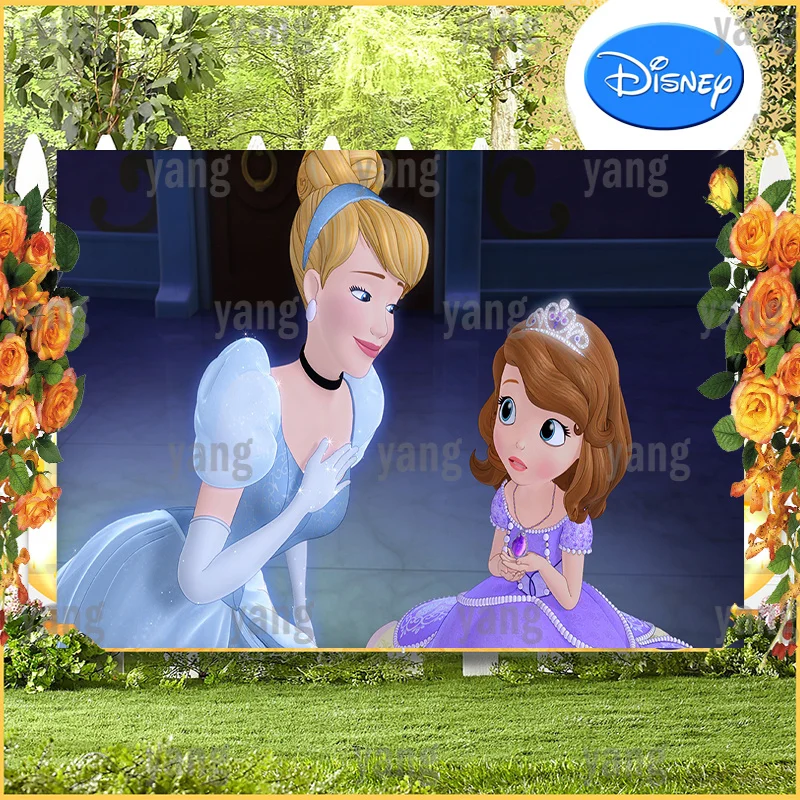 DIY Disney Princess Beautiful Cinderella And Cute Sofia Birthday Party Dark Night Backgrounds Decoration Backdrop Baby Shower