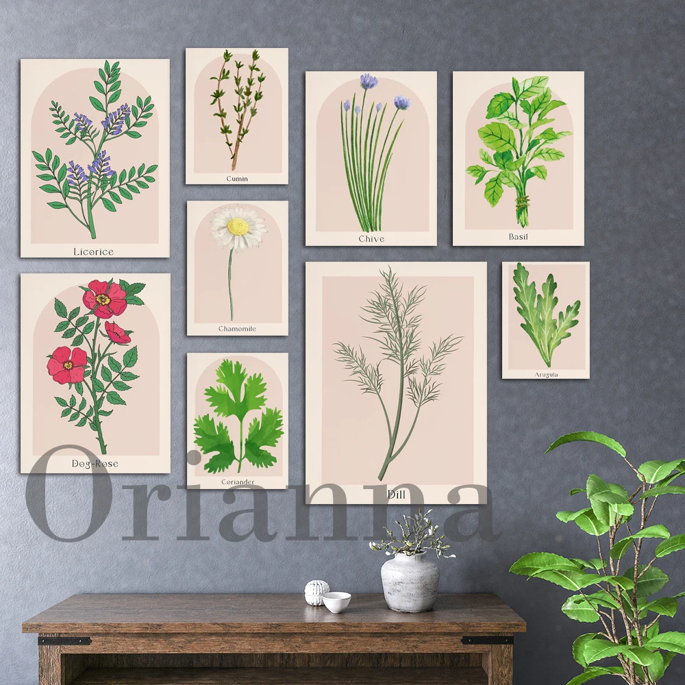 

Coriander Arugula Herb Print, Kitchen Decor, Canvas Painting, Kitchen Art Printable, Country House Decor, Botanical Food Poster,