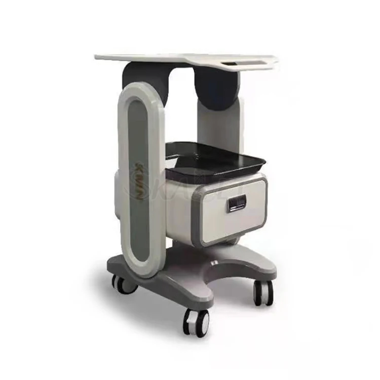 

High Quality 2 drawer mobile hair trolly beauty tool trolley