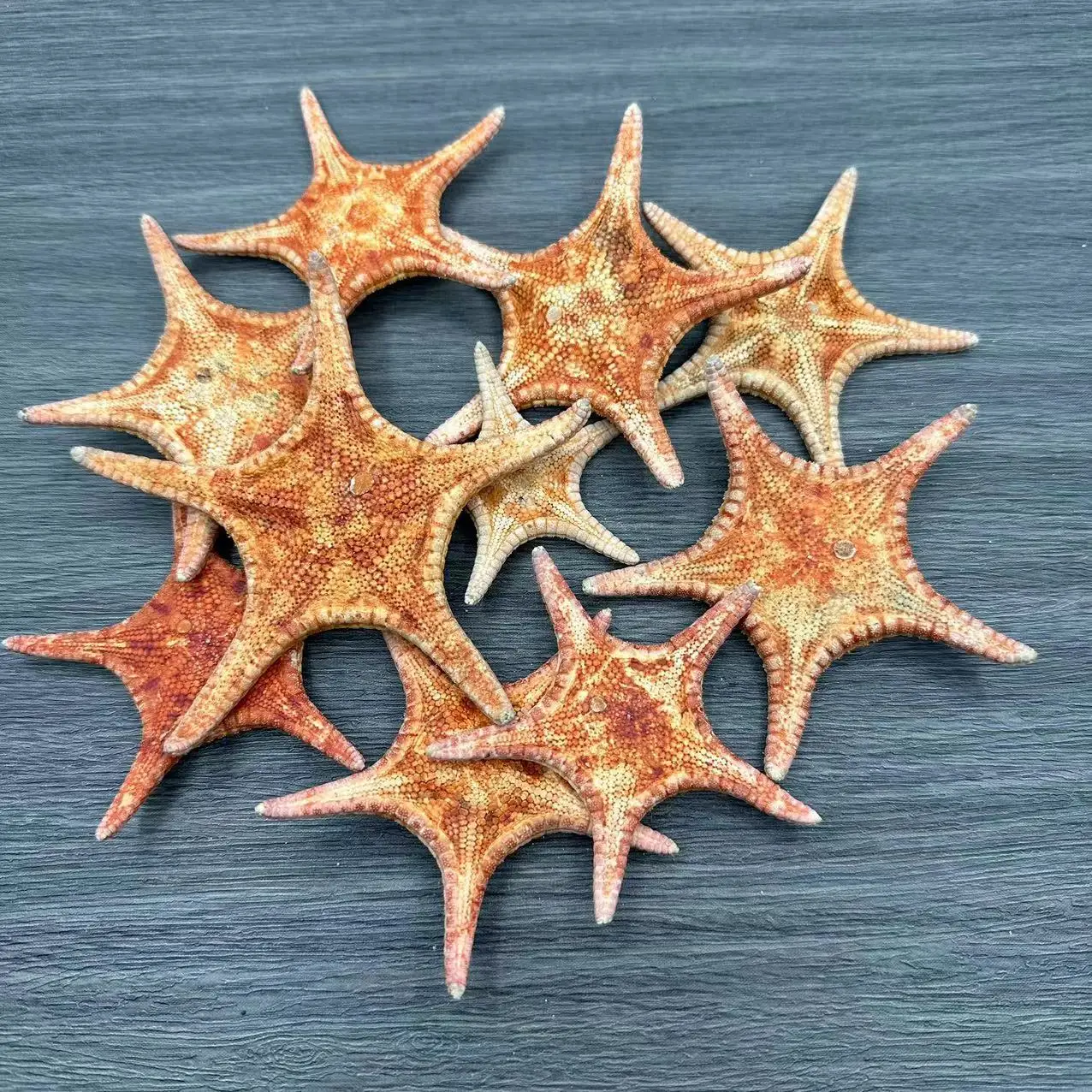 

Декоративная морская звезда из ракушки