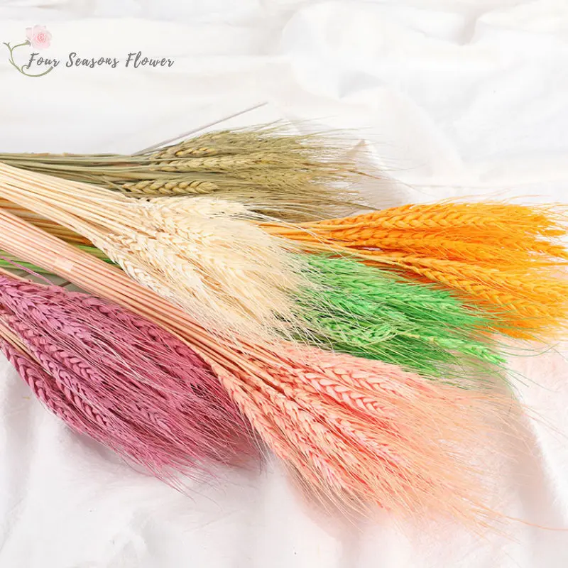

50PCS Natural Real Wheat Ear Flower Dried Flowers Bouquet Wedding Decoration For Party Christmas Home Decor Ornaments DIY Craft