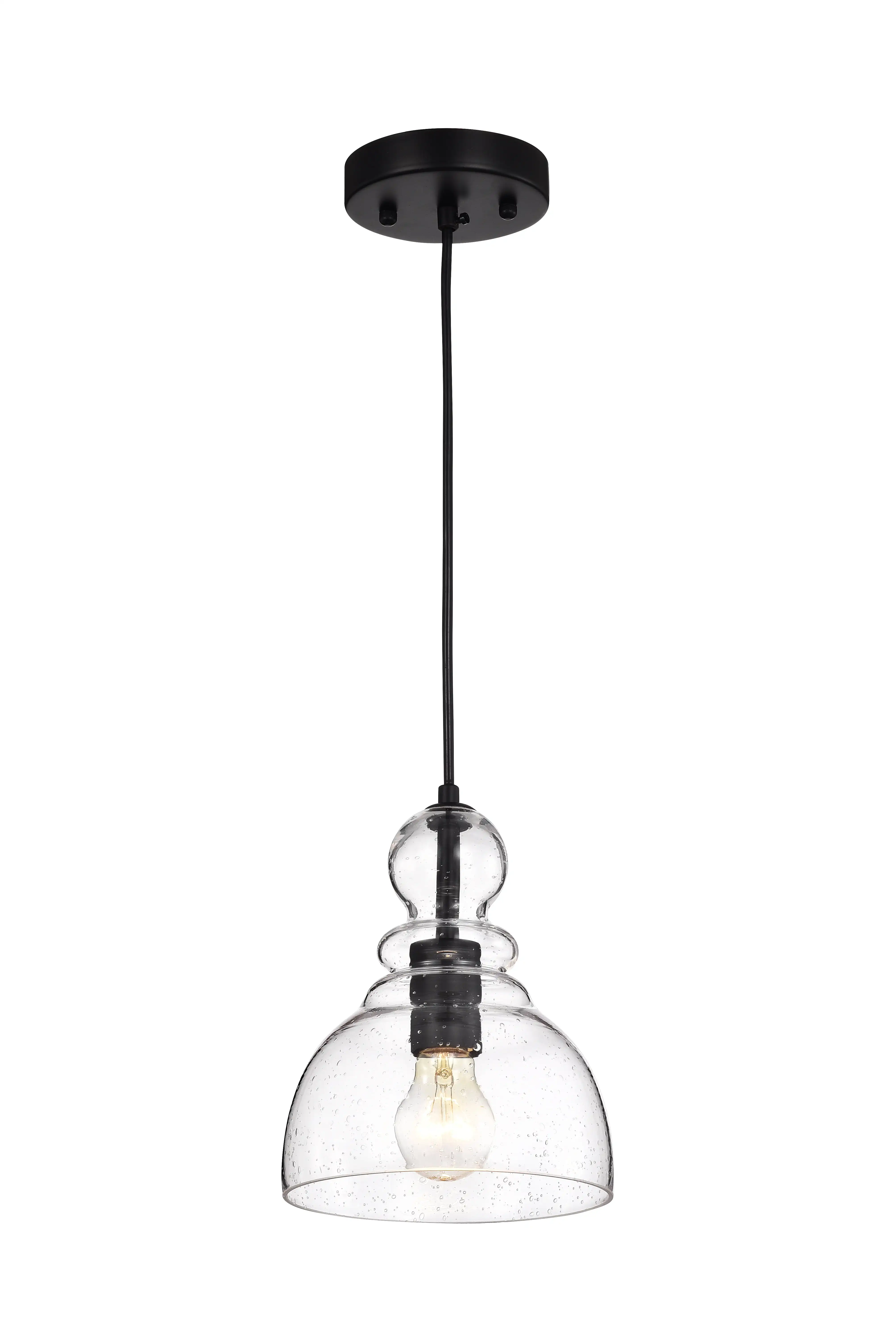 

Matte Black 1-Light Decanter Seeded Glass Pendant