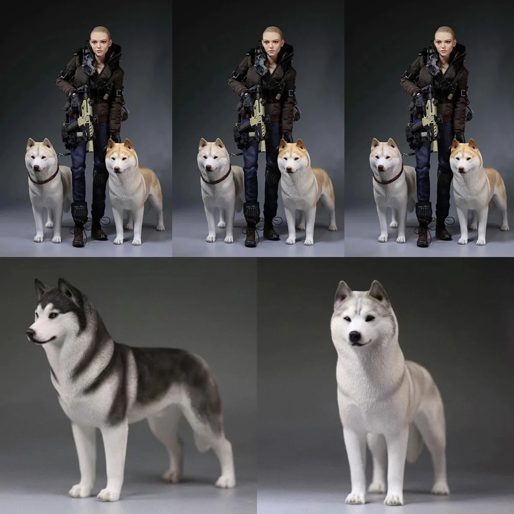 

1/6 Dog Siberian Husky Agent Partner Anime Soldier Resin Scene Partners Of Mankind Accessories Christmas Gifts