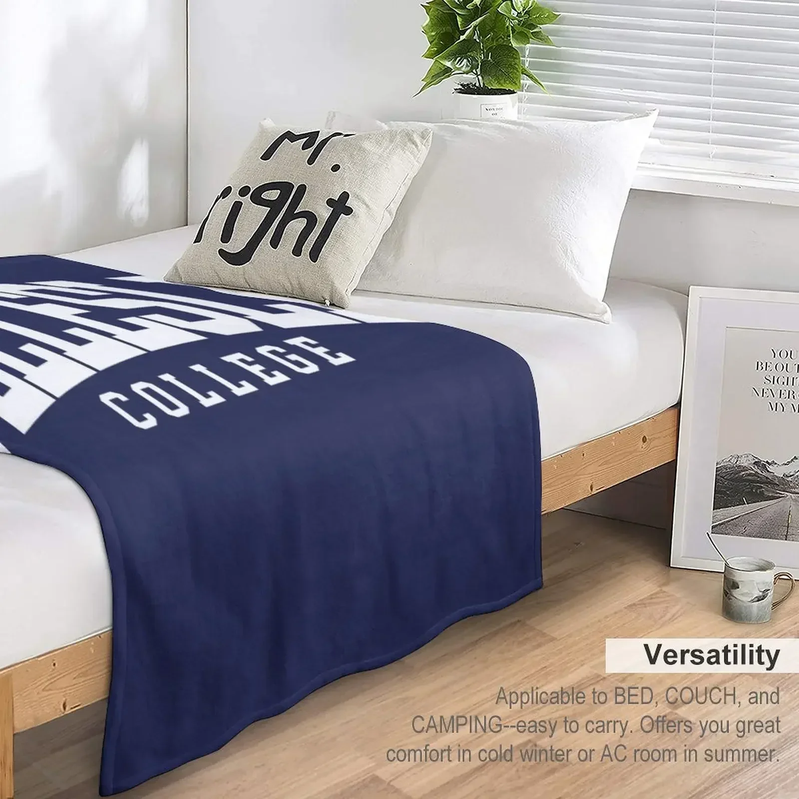 Wellesley - изогнутое одеяло со шрифтом колледжа мягкий плюшевый плед для дивана