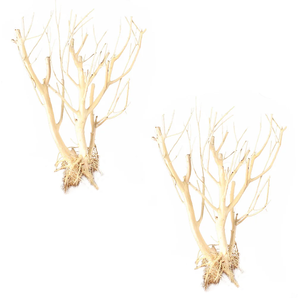 

2Pcs Aquarium Twig Fish Tank Supplies Small Branch Decor for Decor Fish Tank Home Garden