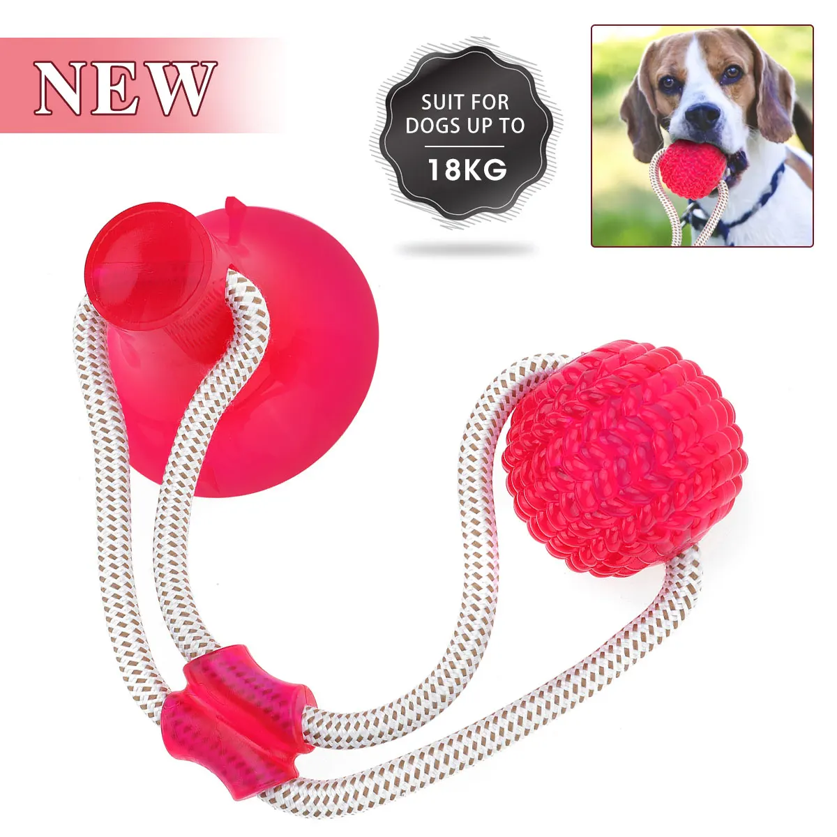 

Pet Dog Molar Bite Toy Tug Rope Ball Chew Fun Toys Tooth Cleaning Suction Cup