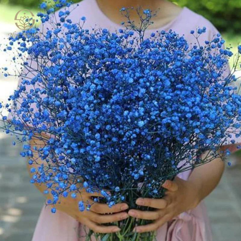 

Natural Dried Gypsophila Wedding Decor Baby Breath Bridal Bouquets DIY Wreath Floral Valentine Day Gift Home Table Decoration