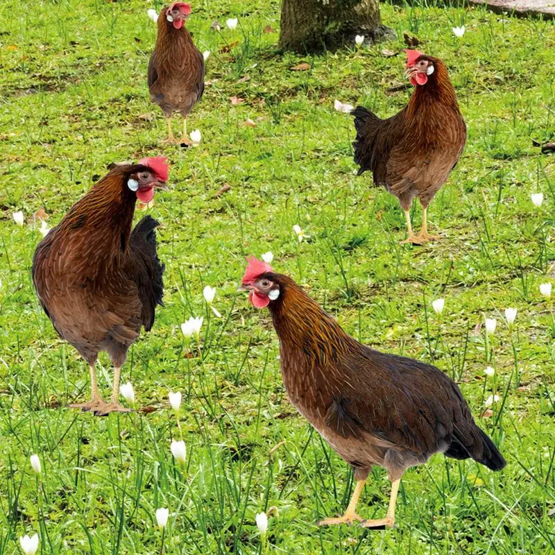 

Декоративная садовая стойка для цыплят, художественное уличное акриловое украшение для двора, водонепроницаемые Декоративные реалистичные курицы для помещений