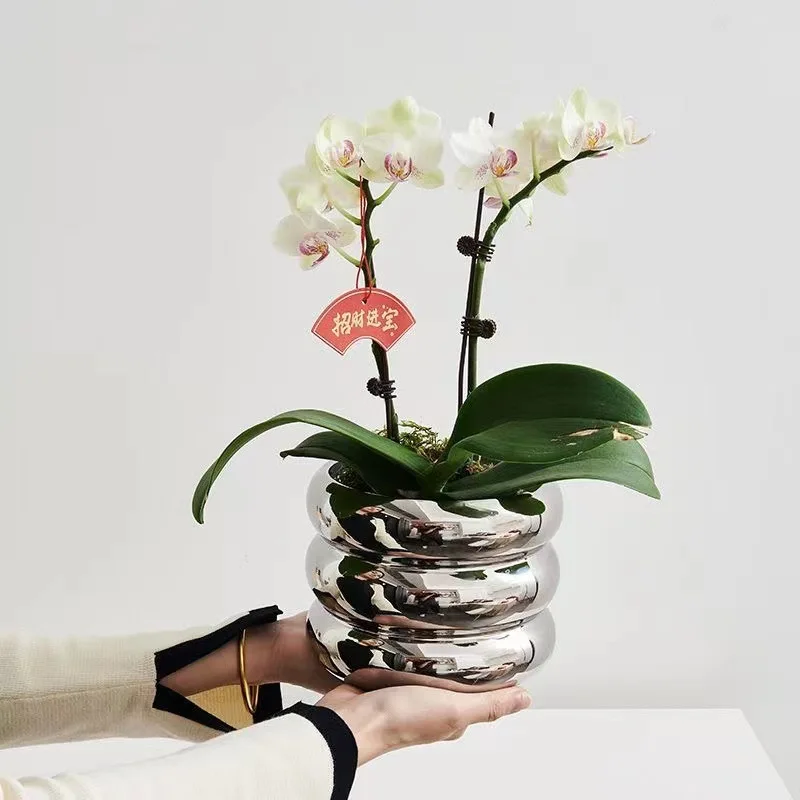 

Simple Ceramic Flower Pot Advanced Desktop Ins Style Silver Phalaenopsis Vase Flower Arrangement Decoration Ornaments
