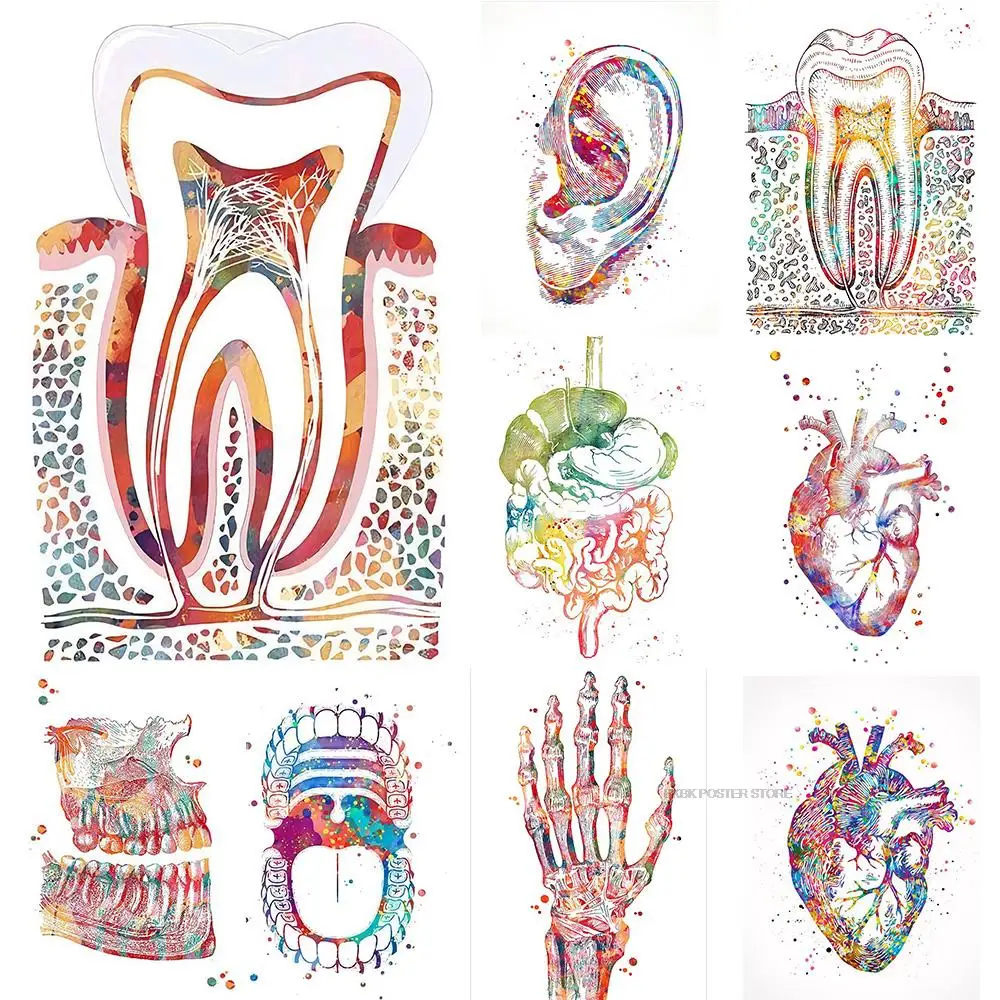 

Medical Education Poster Kraft Paper Print Hot Selling Decoration Salon Cartoon Art Pictures Nostalgia Anime Bedroom Painting