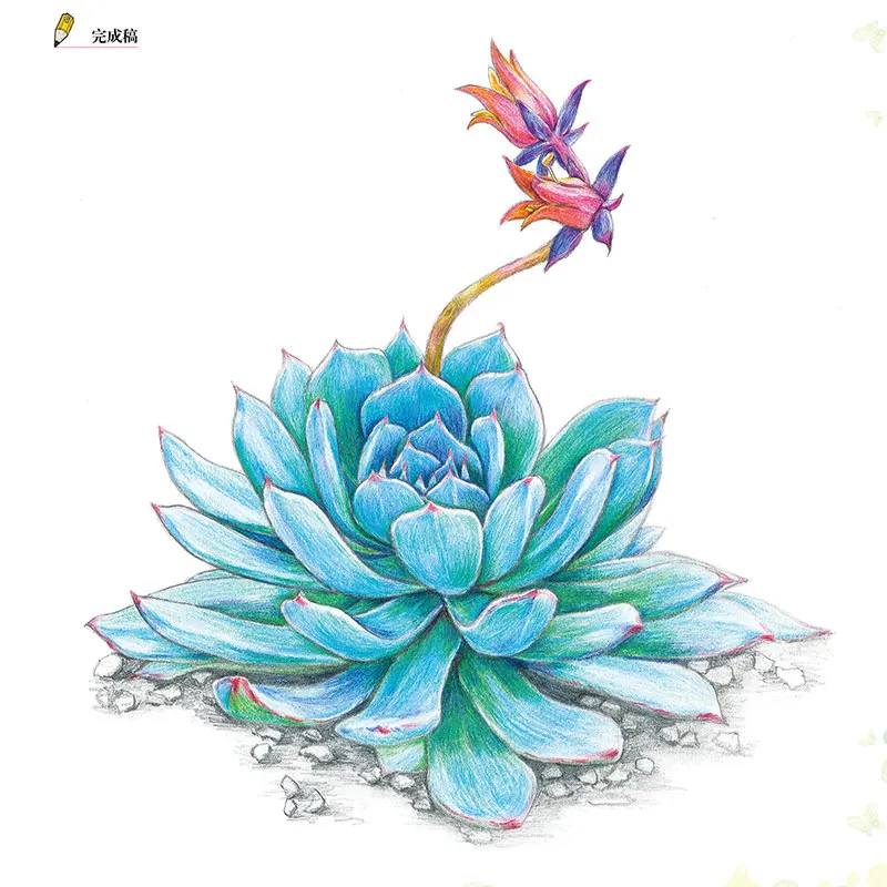 

New Leaf Flesh Color Lead Plant Hand-painted Entry Description Drawing Book Classic Zero Foundation Children Adult Coloring Book