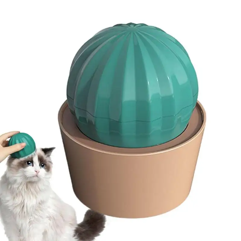 

Щетка для груминга кошек, новинка, щетка для вычесывания кактуса для собак и кошек, щетка для ухода за домашними питомцами, ежедневный масса...