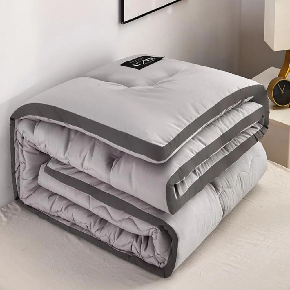 

Student Warm Keeping Dormitory Spring and Autumn Quilt Winter Quilt Core Thickened Winter Quilt Single Double Silk Cotton Quilt
