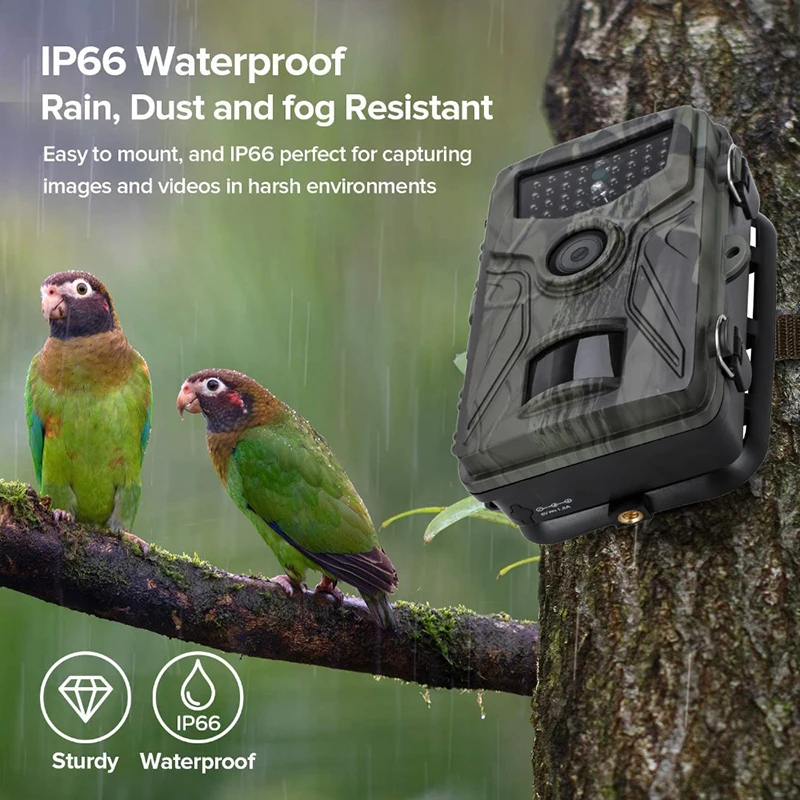 

Wildlife Tracking Surveillance Camera Practical Waterproof Infrared Motion Monitoring High Sensitive Automatically Captures