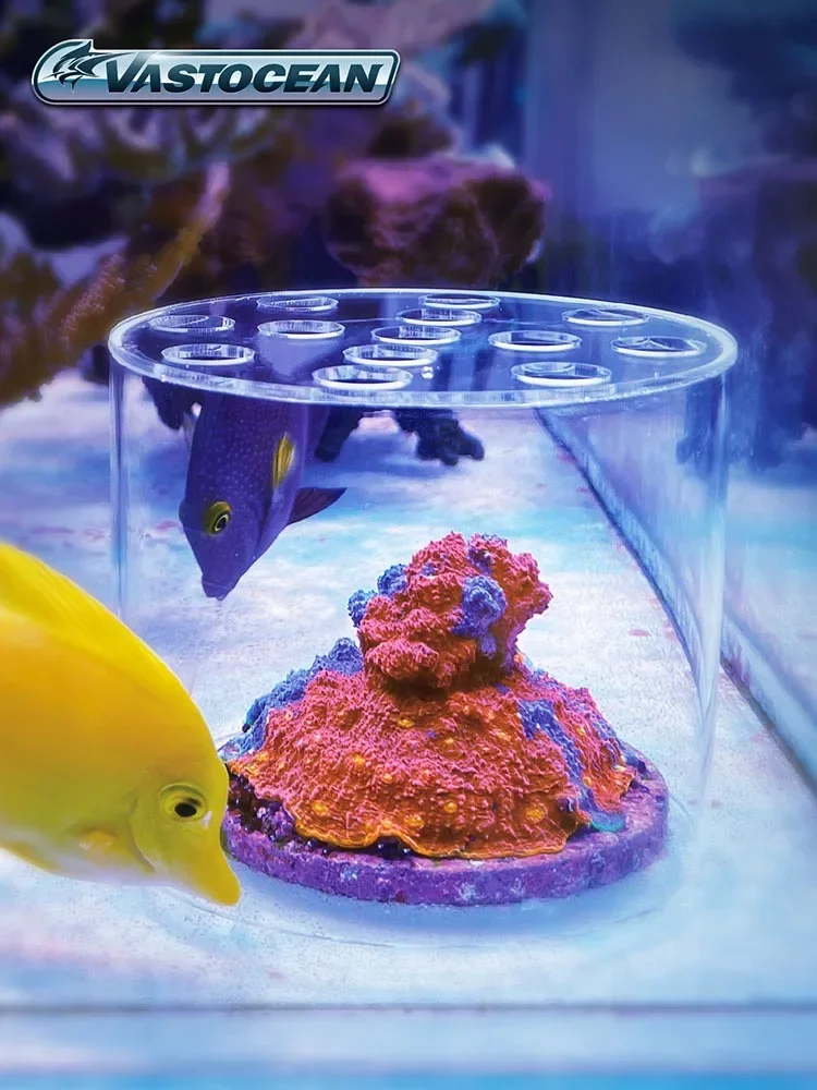 Кормушка для вавто океана сращенная удлиненная акриловая трубка кормления