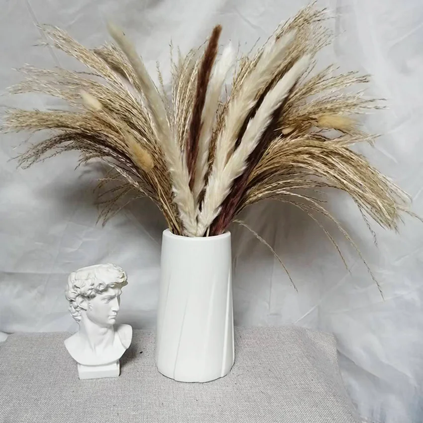 

60PCS Natural Dried Pampa Grass Bouquet,Boho Home Decor Bouquet, Phragmites Dried Flowers,Bouquet for Wedding Ramadan Decoration