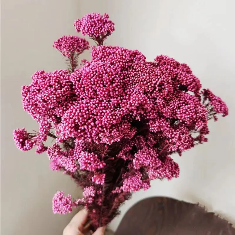 

50g Natural Millet Fruit Dried Flower Wedding Gifts For Guests Artificial Flowers Free Shipping Bridal Wedding Bouquet Outdoor B