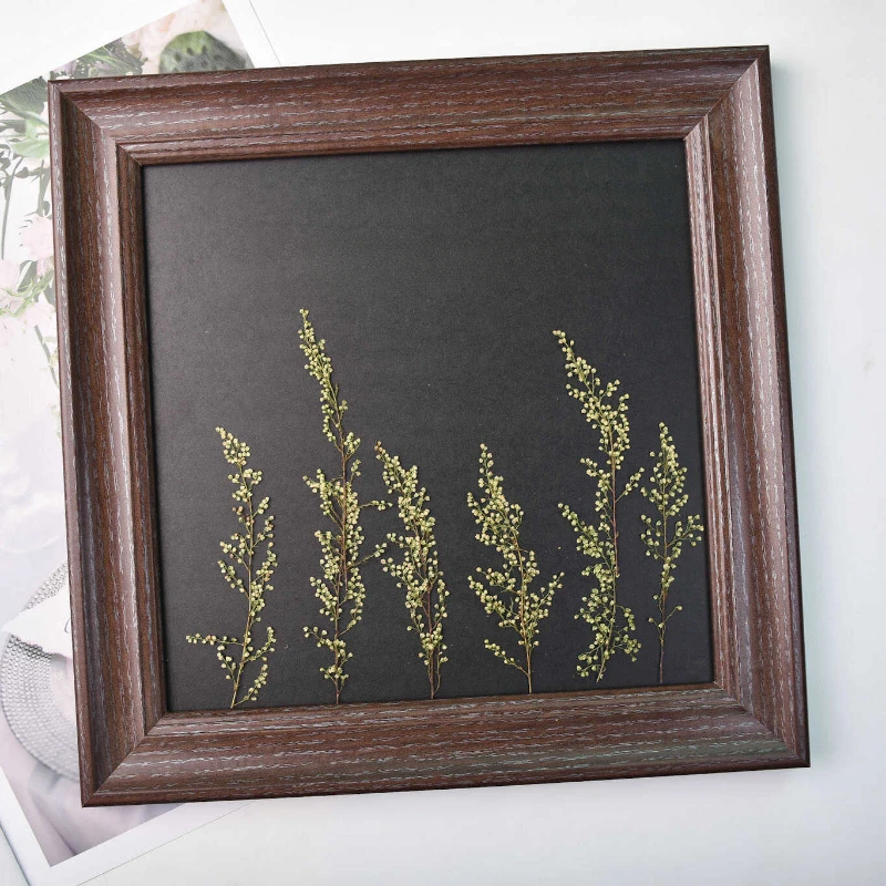 Прессованные Artemisia annua настоящие листья сухие цветы сделай сам фоторамка книги