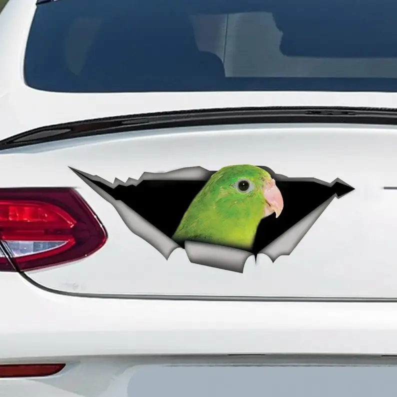 

parrotlet female car decal, parrotlet magnet, parrotlet decal, parrot sticker