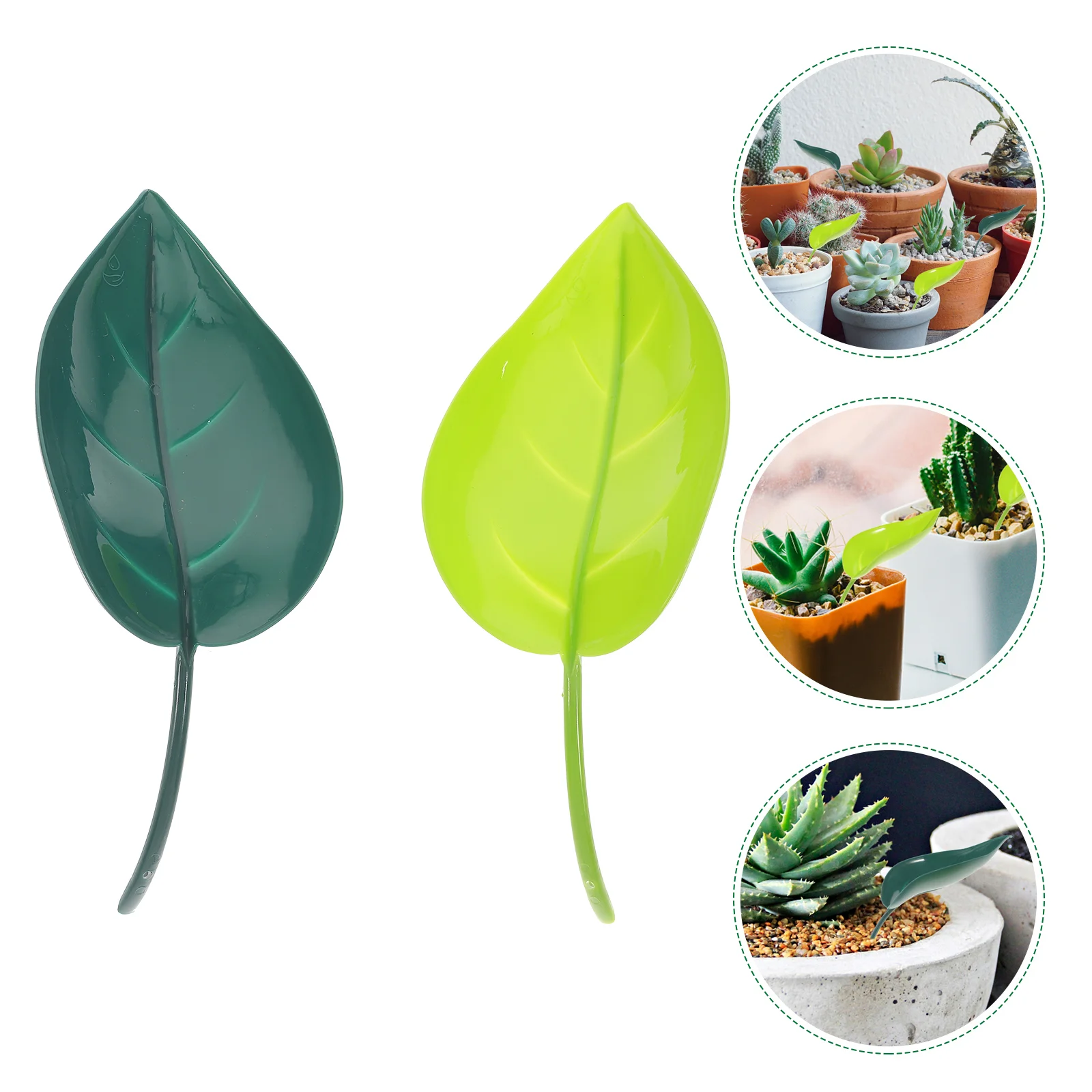 

12 Pcs Funnel Watering Device Gardening Tool Kit Pots Outdoor Potted Leaf Designed Pp Pots Outdoor