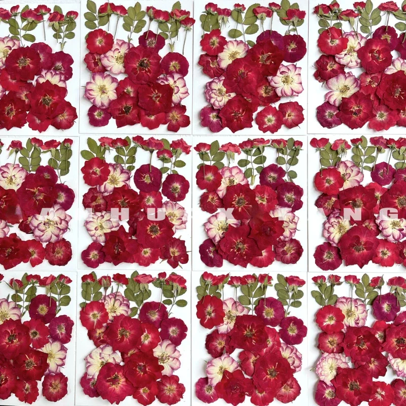 24 шт./пакет рельефная комбинированная Цветочная рамка в виде Розы