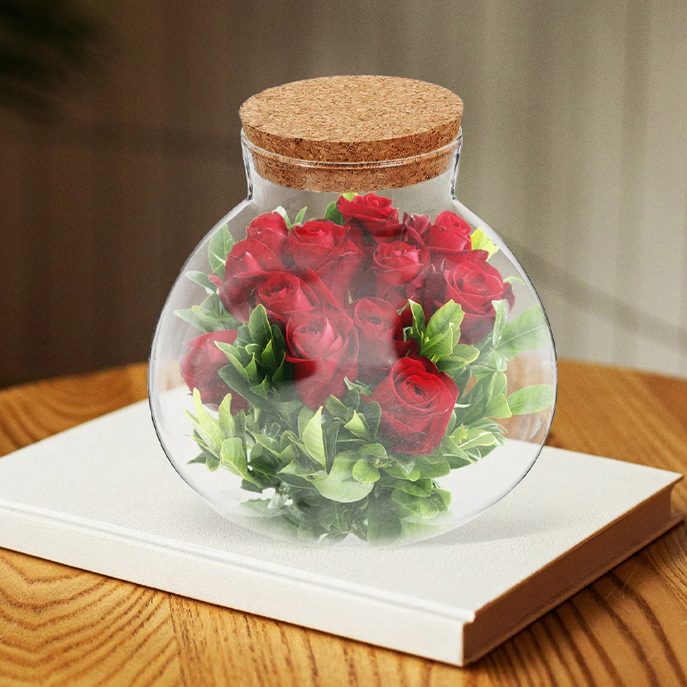 Микропейзаж Бутылка Микроландшафтный Пустой Ремесло Экологический Терариум