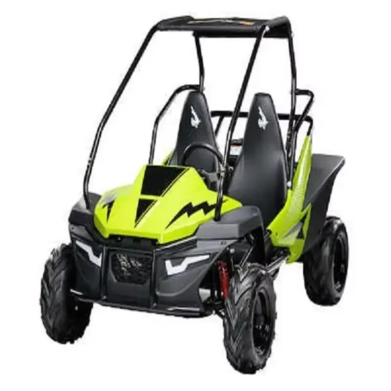 Гоночный багги Renli EEC5 500cc 4x4 2 сиденья