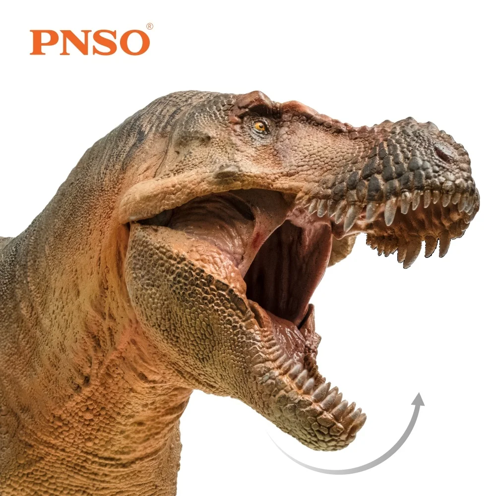 

PNSO, доисторическая модель животного Luxiong, модель Zhuchengtyrannus, тираннозавр рекс, искусство в розничной коробке