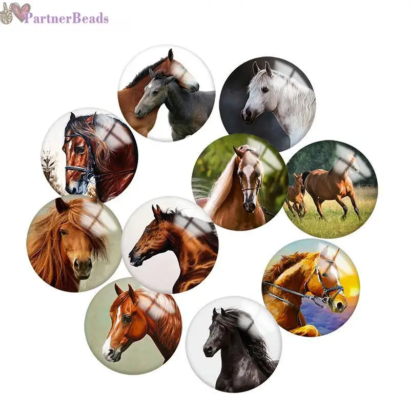 

Horse Round Photo Glass Cabochon Demo Flat Back Making Findings 20mm Snap Button N1661