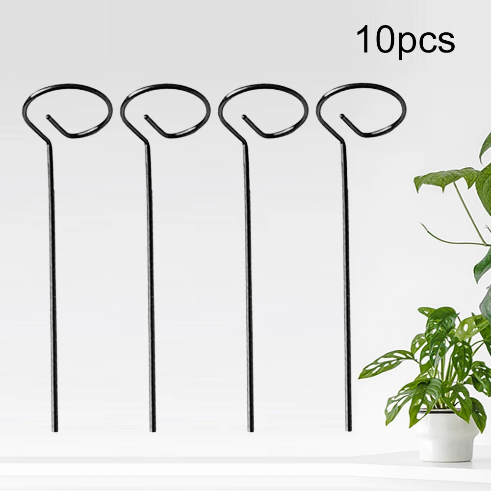 

Metal Flower Pot Stand 10pcs Plant Bracket for Peonies Hydrangea