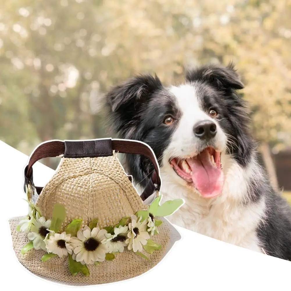 

Экологичная повседневная одежда, соломенная шляпа для домашних животных, шляпа для собак с УФ-защитой из рафии