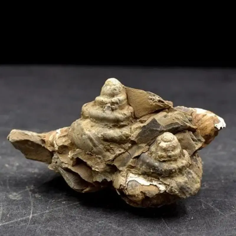 1Pcs A Natural Mineral Standard Strange Stone Original Stone Natural Ornamental Stone Line Stone Farmers From Pick From